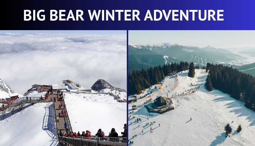 Skiing and Snowboarding