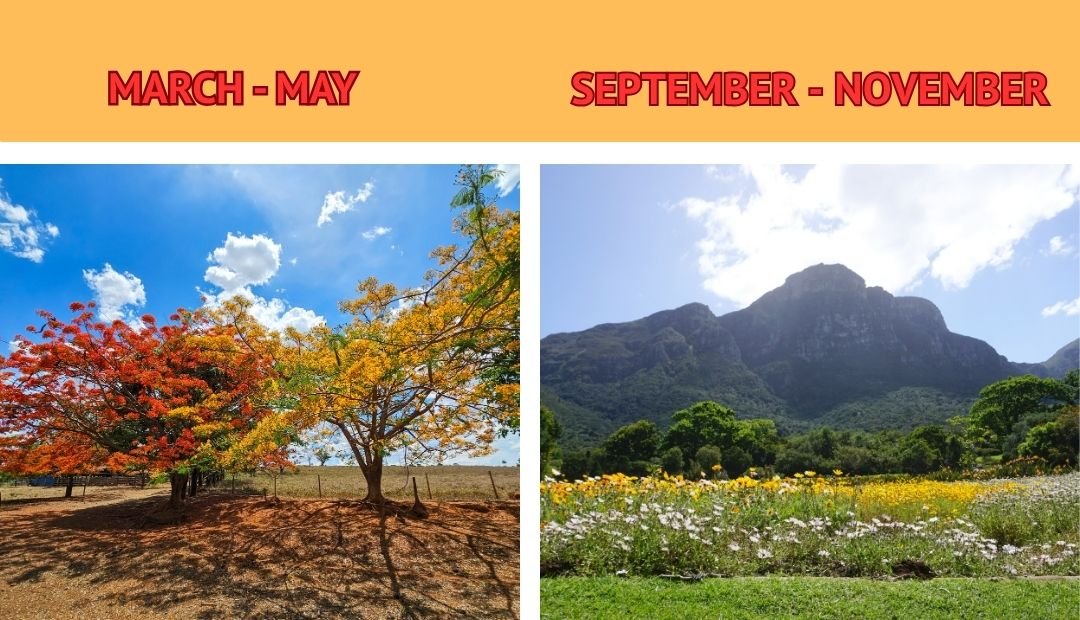 Things to do on the Garden Route