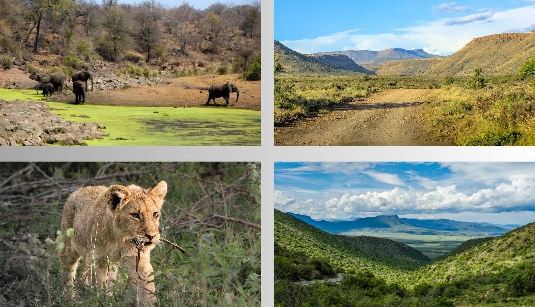 Visit Tsitsikamma National Park